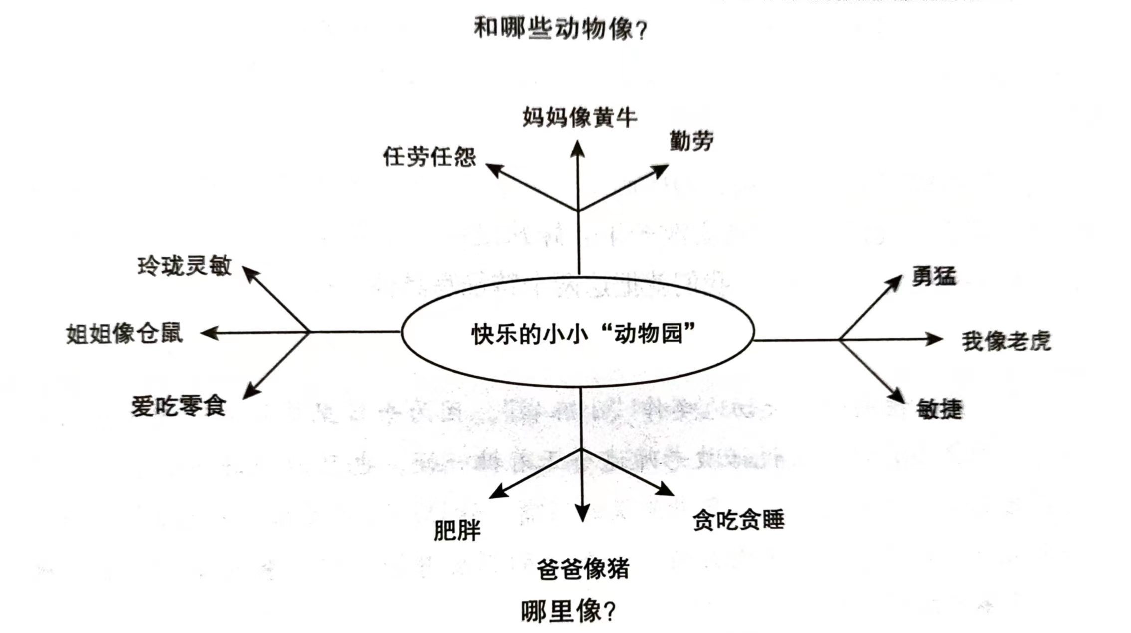 四年级动物园思维导图