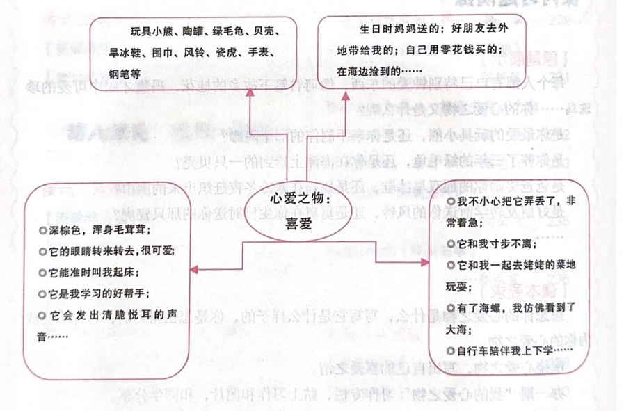 我的心爱之物思维导图